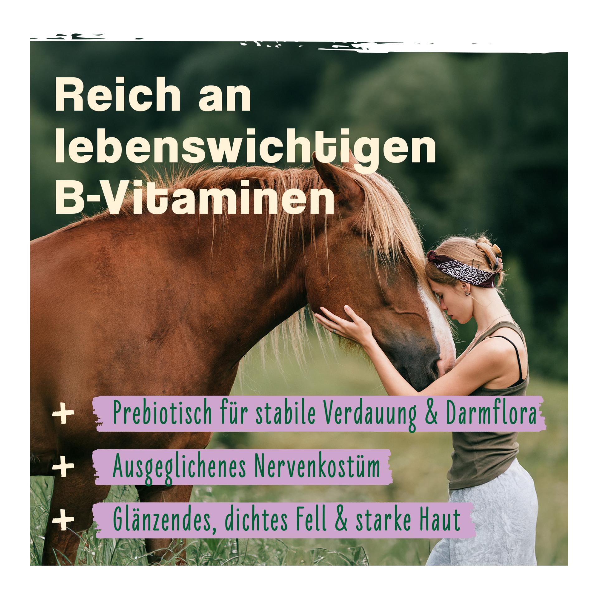 IdaPlus Bierhefe Pulver - Futterergänzung für glänzendes Fell & kräftige Haut