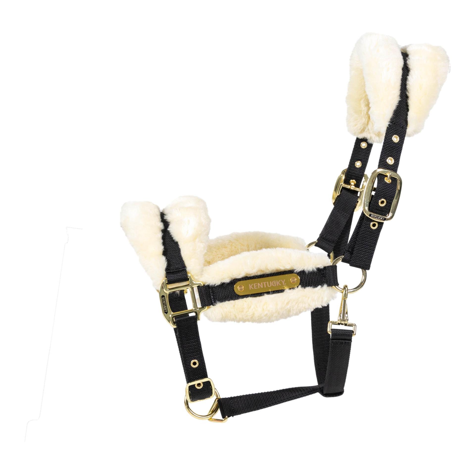 Stalldecke Comfort 100g und Halfter Nylon sheepskin soft Set Stalldecke Comfort 100g und Halfter Nylon sheepskin soft Set