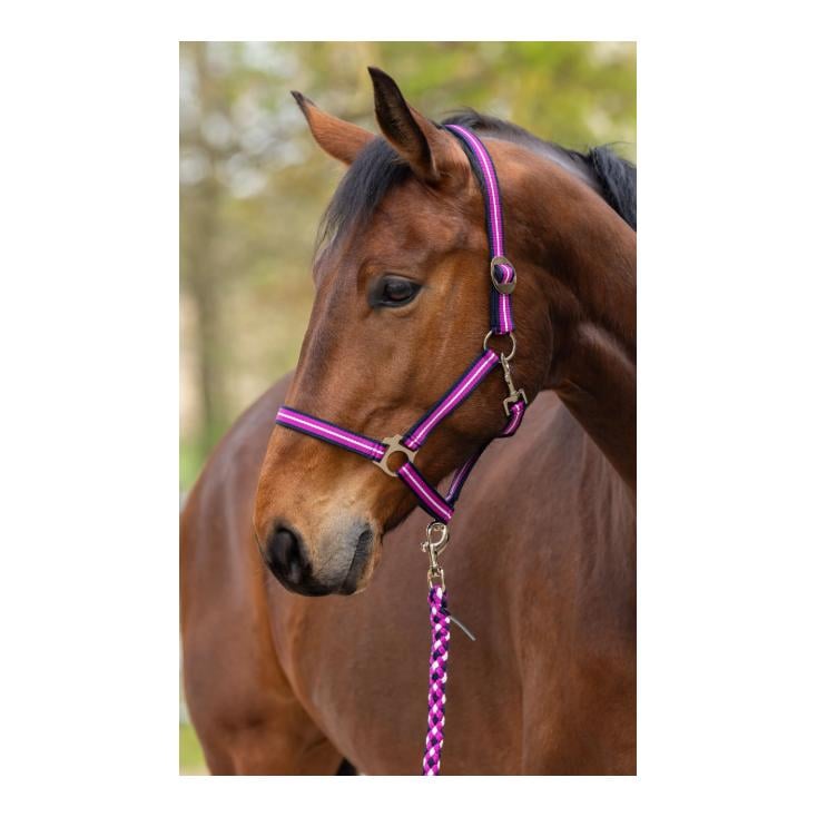 Covalliero Halfter Hippo F/S 2026