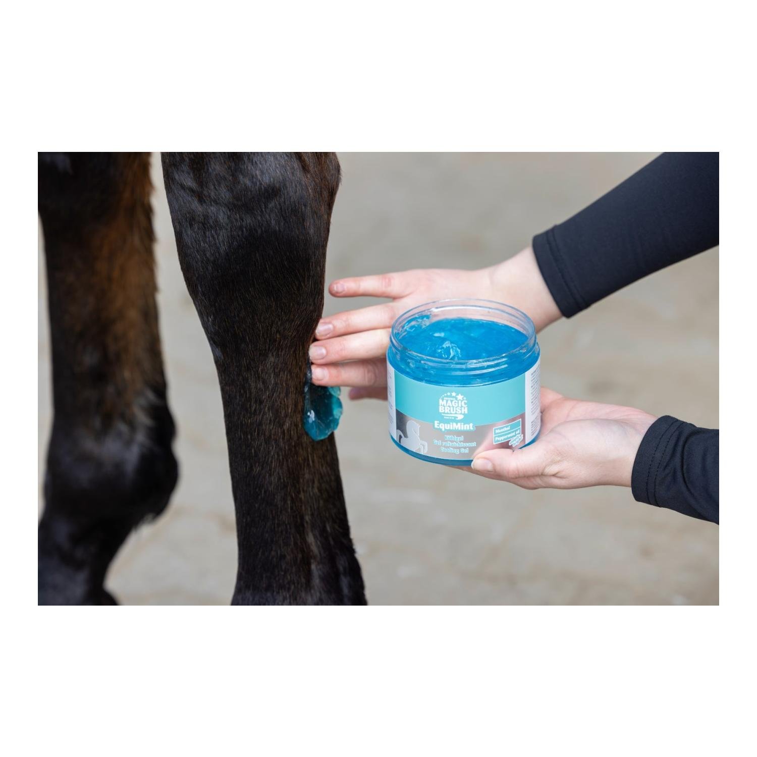 MagicBrush MagicBrush Kühlgel EquiMint