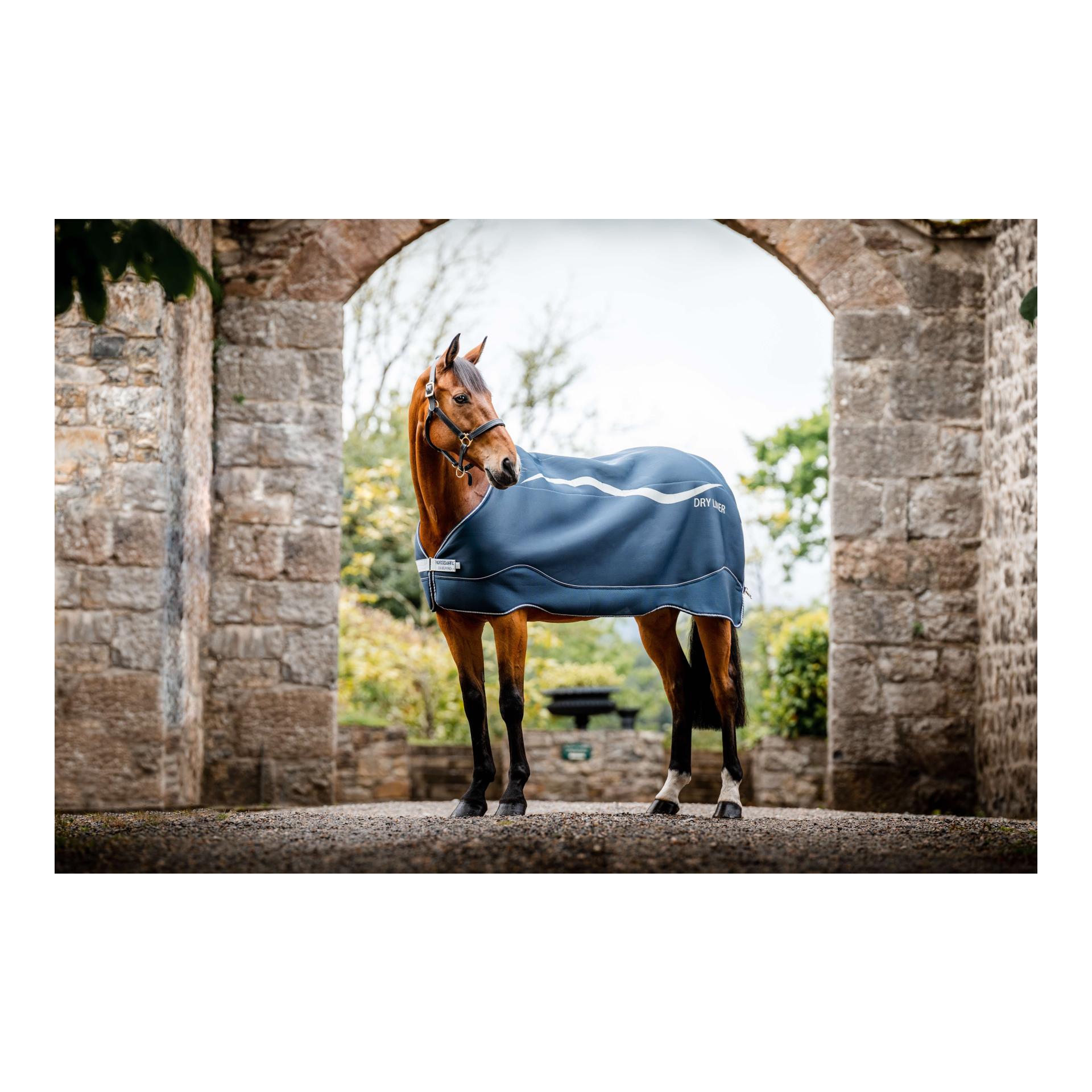 Abschwitzdecke Dry Liner - navy/silver Abschwitzdecke Dry Liner - navy/silver