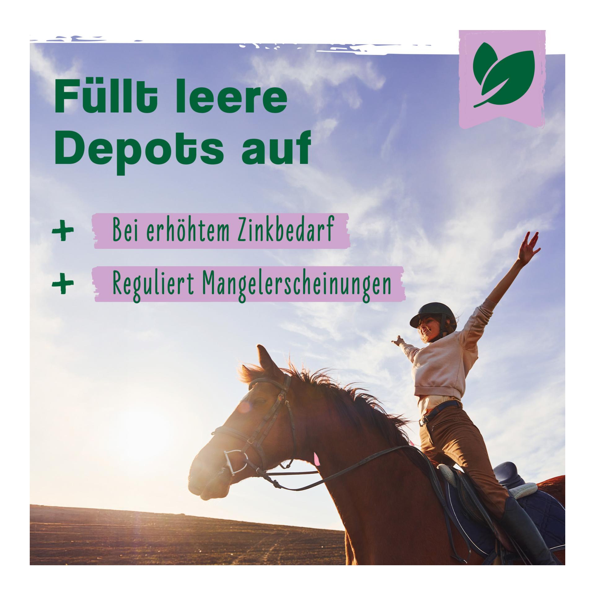 IdaPlus Biotin + Zink für Pferde - hochdosiert - verbessert Hufqualität & Hufwachstum 