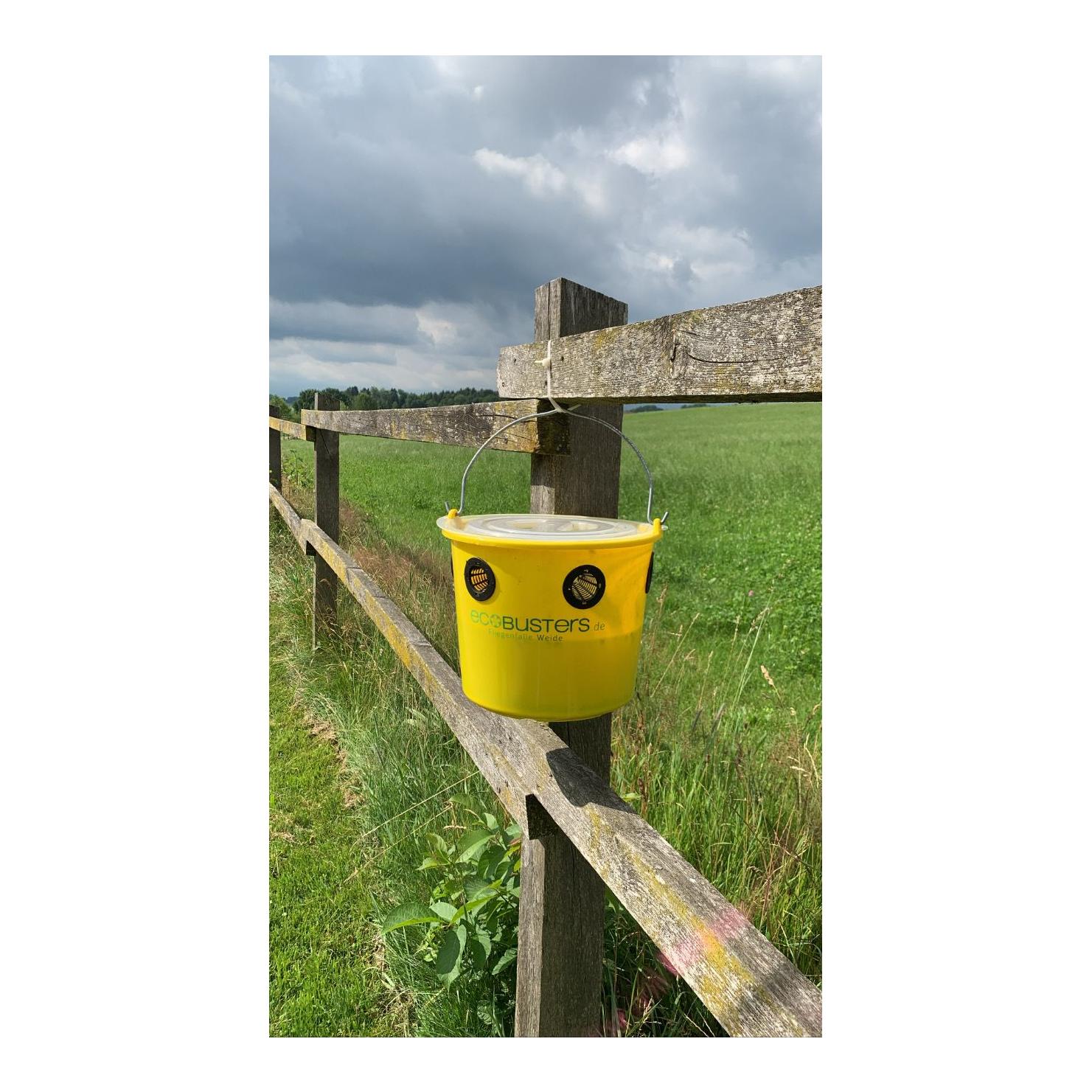 Fliegenfalle EcoWeide-Starterset ** 2023