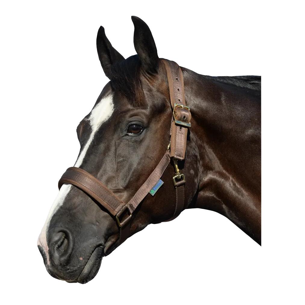 Nylonhalfter IKB Comfort