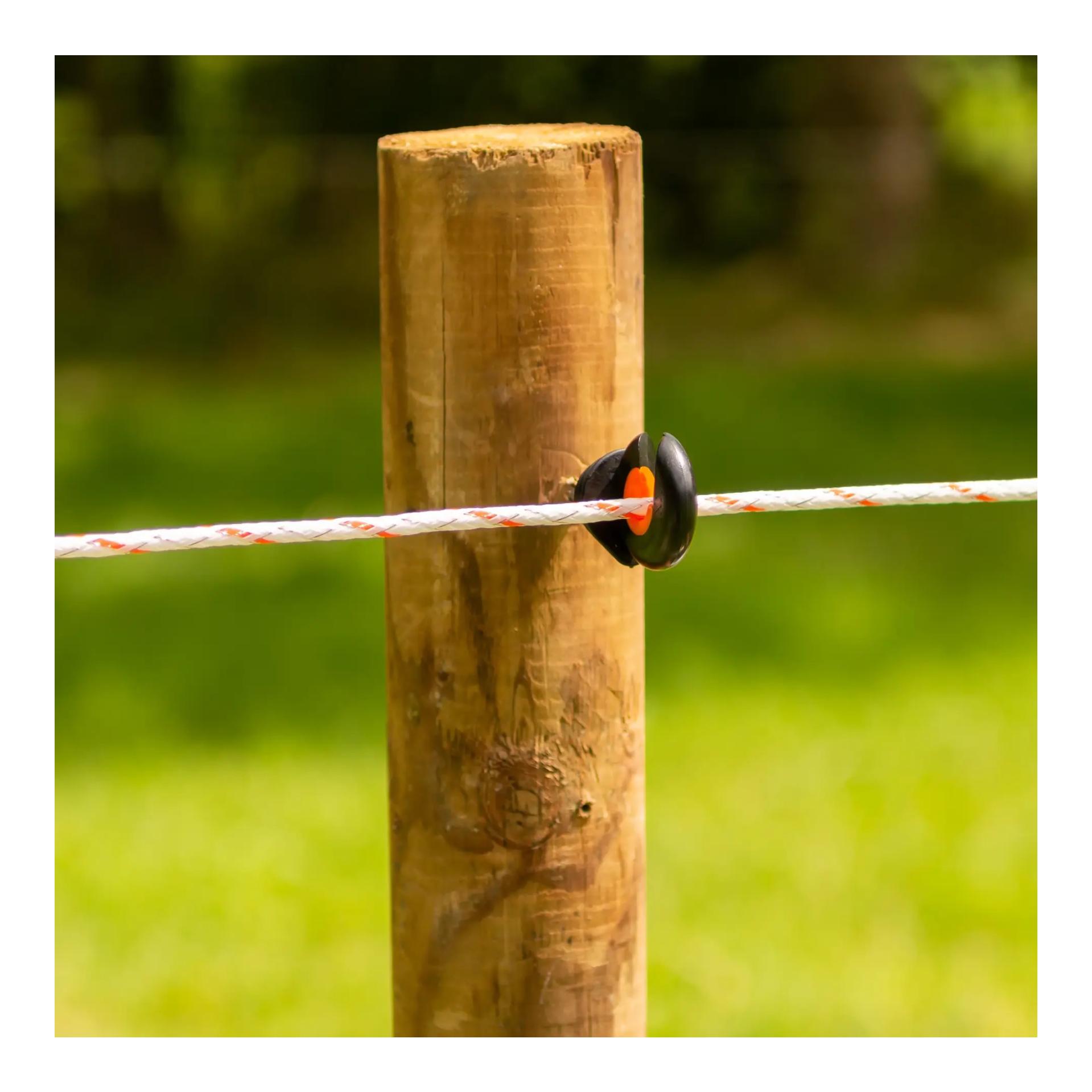 Gallagher TurboLine Cord