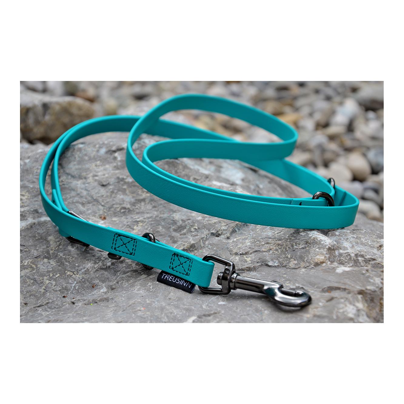 Treusinn. Laisse pour chien Biothane STAY réglable, 2m