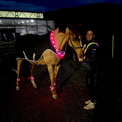 reitsport-Leuchtartikel