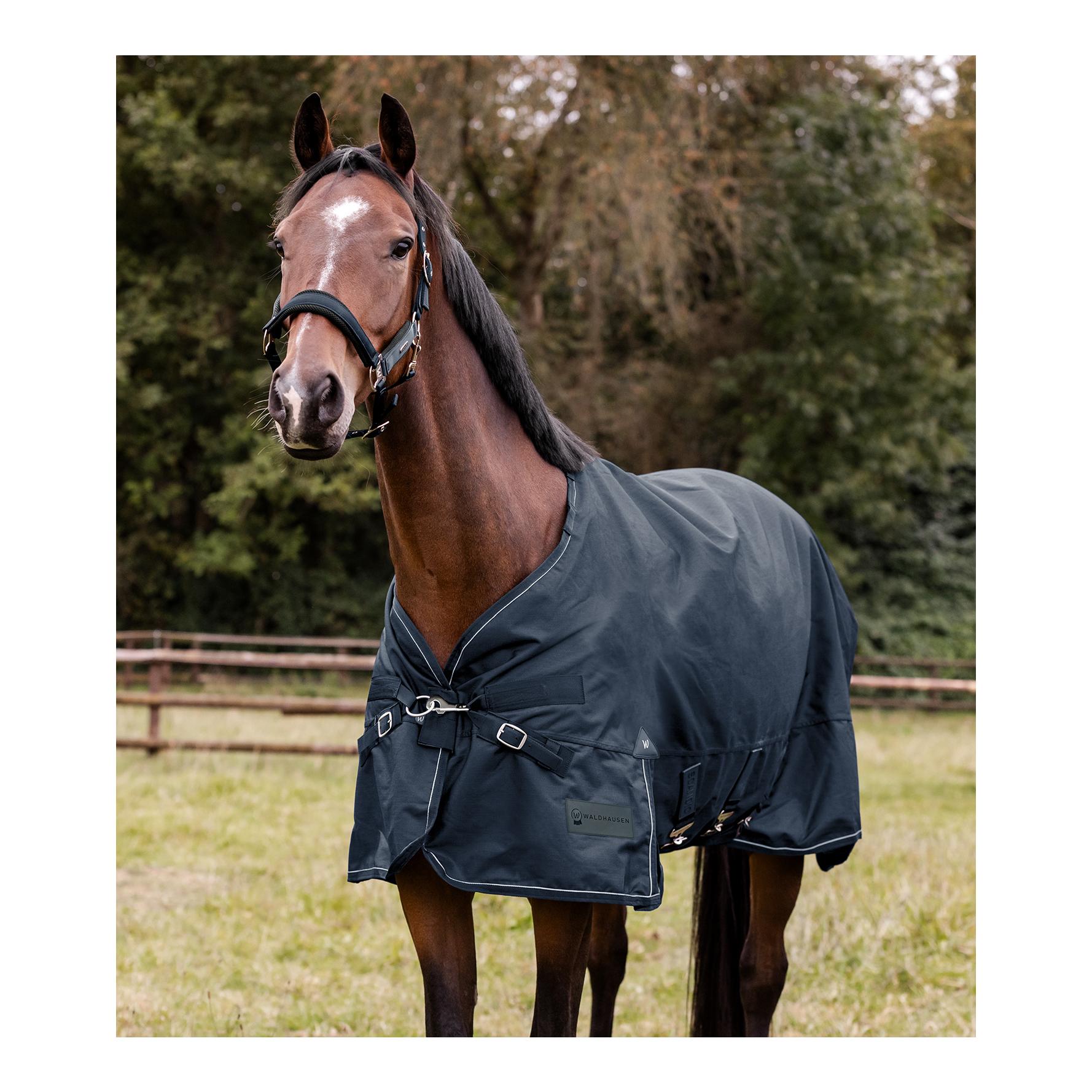 Outdoordecke Scandic, 50g