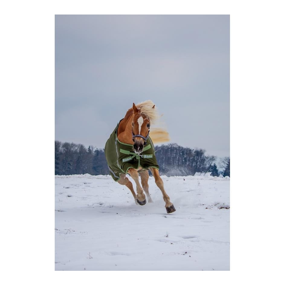 Winterdecke 300 g Outdoor Guard Winterdecke 300 g Outdoor Guard
