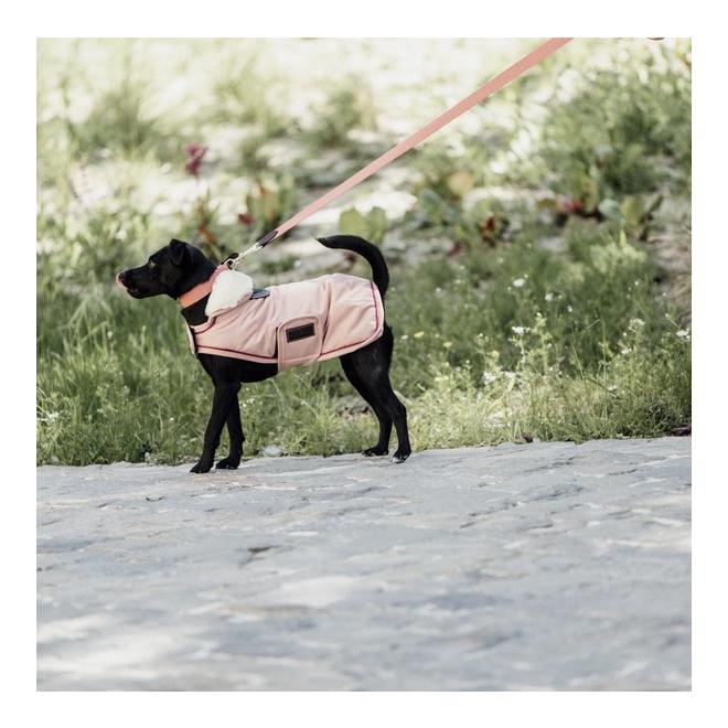 Hundemantel wasserdicht 160 g - Koralle Hundemantel wasserdicht 160 g - Koralle