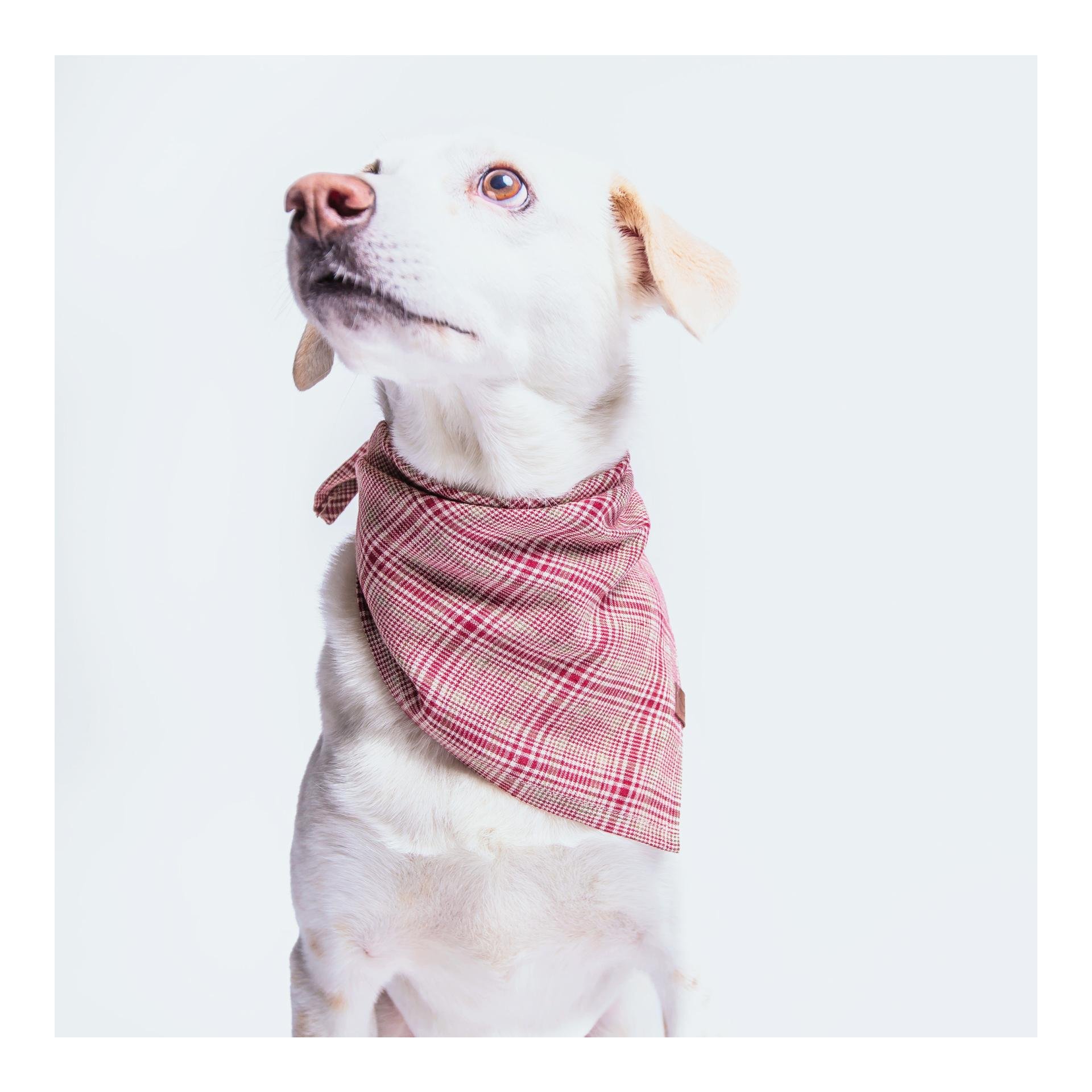 Bandana Check - rot Bandana Check - rot