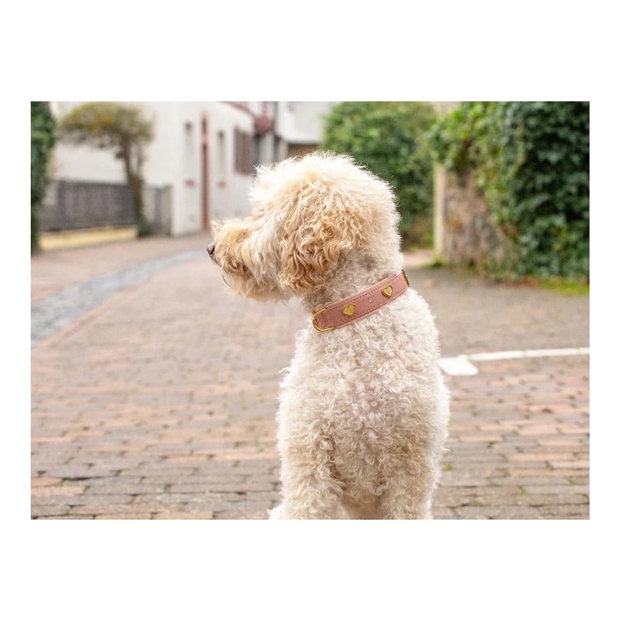 Maul Lederwaren Halsband Ciao Mama