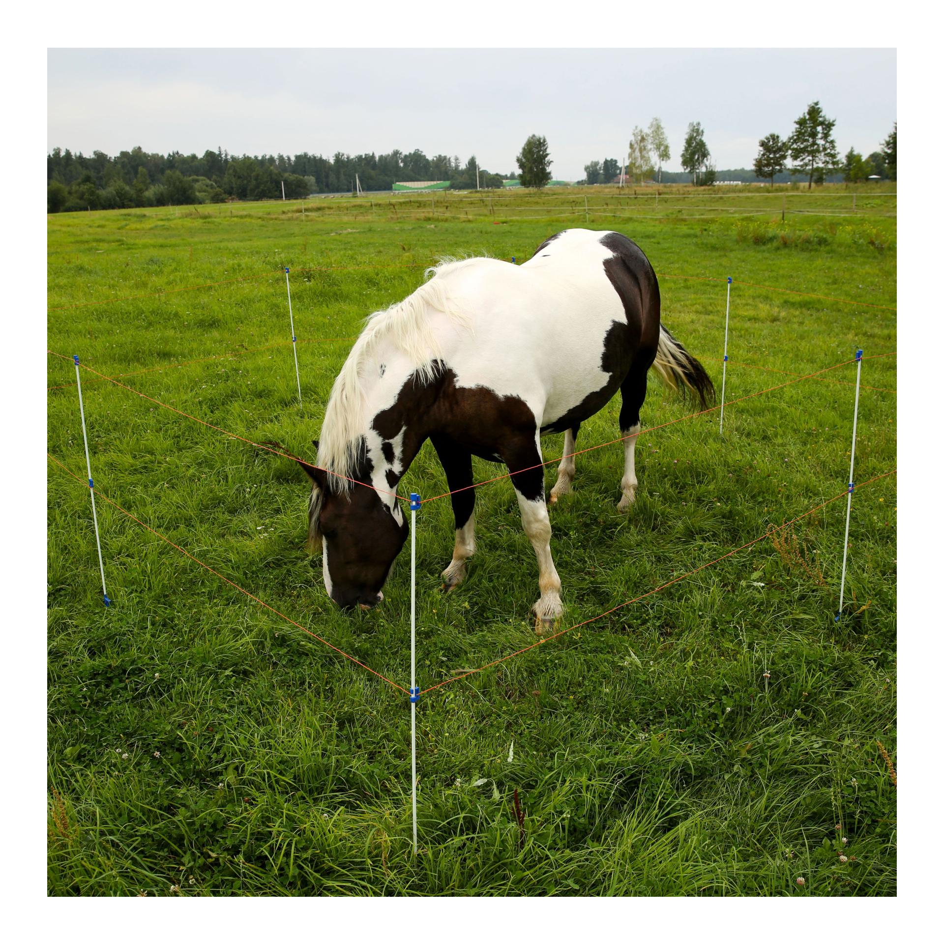 Piquet professionnel en fibre de verre BLUE - 10 pièces