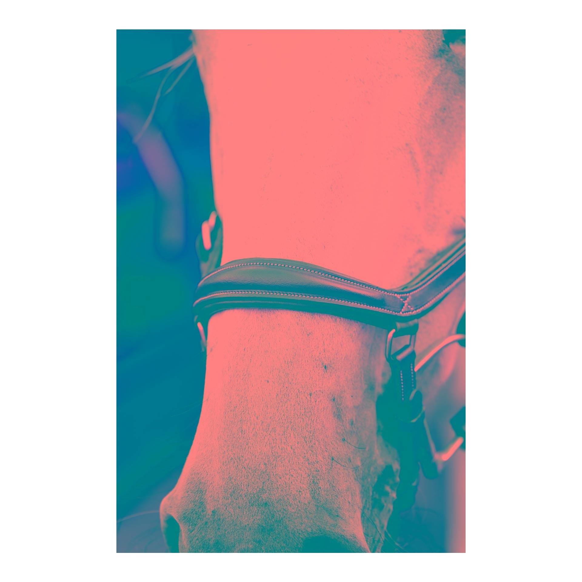 Horseware Bridon de compétition Micklem Deluxe