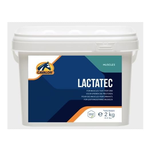 Lactatec - unterstützt die Leistung der Muskulatur und fördert die Regeneration Lactatec - unterstützt die Leistung der Muskulatur und fördert die Regeneration
