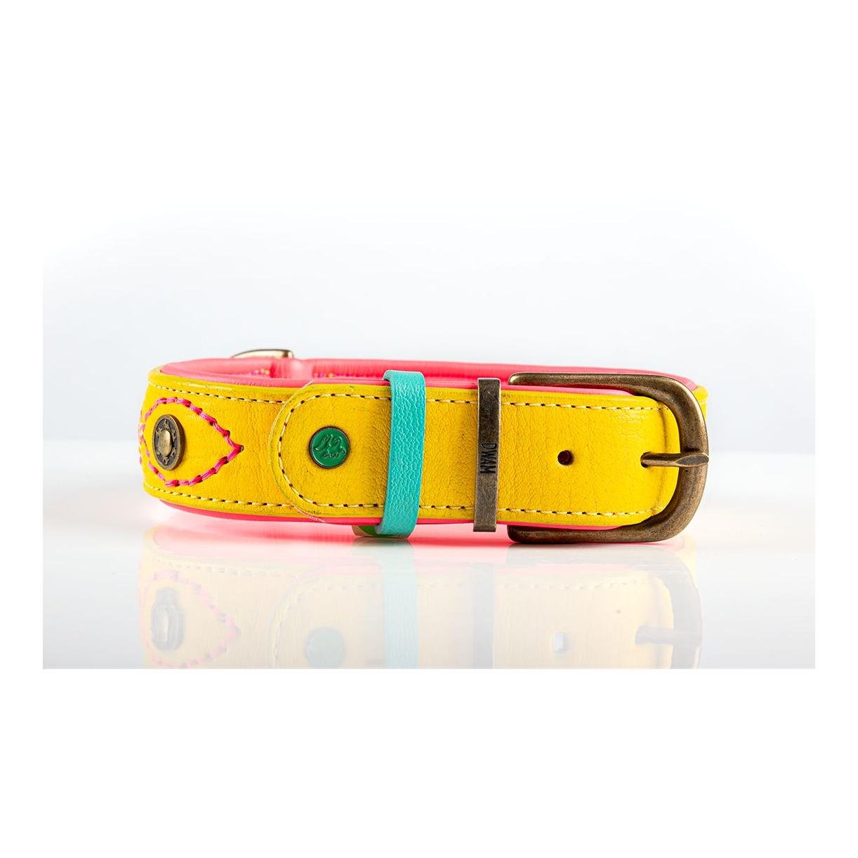 Jessy Hundehalsband Jessy Hundehalsband