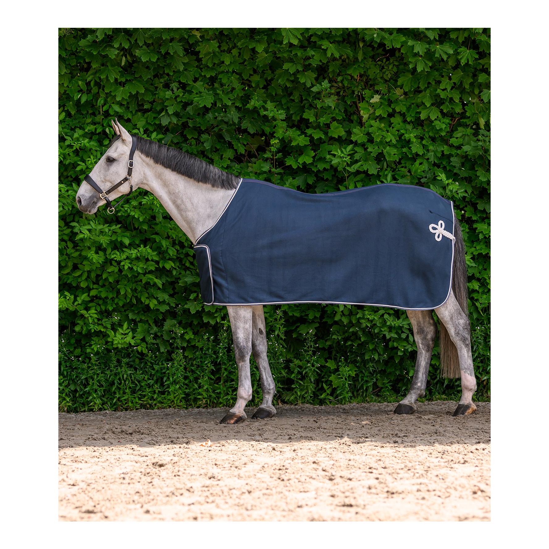 Waldhausen Polaire ÉCONOMIQUE