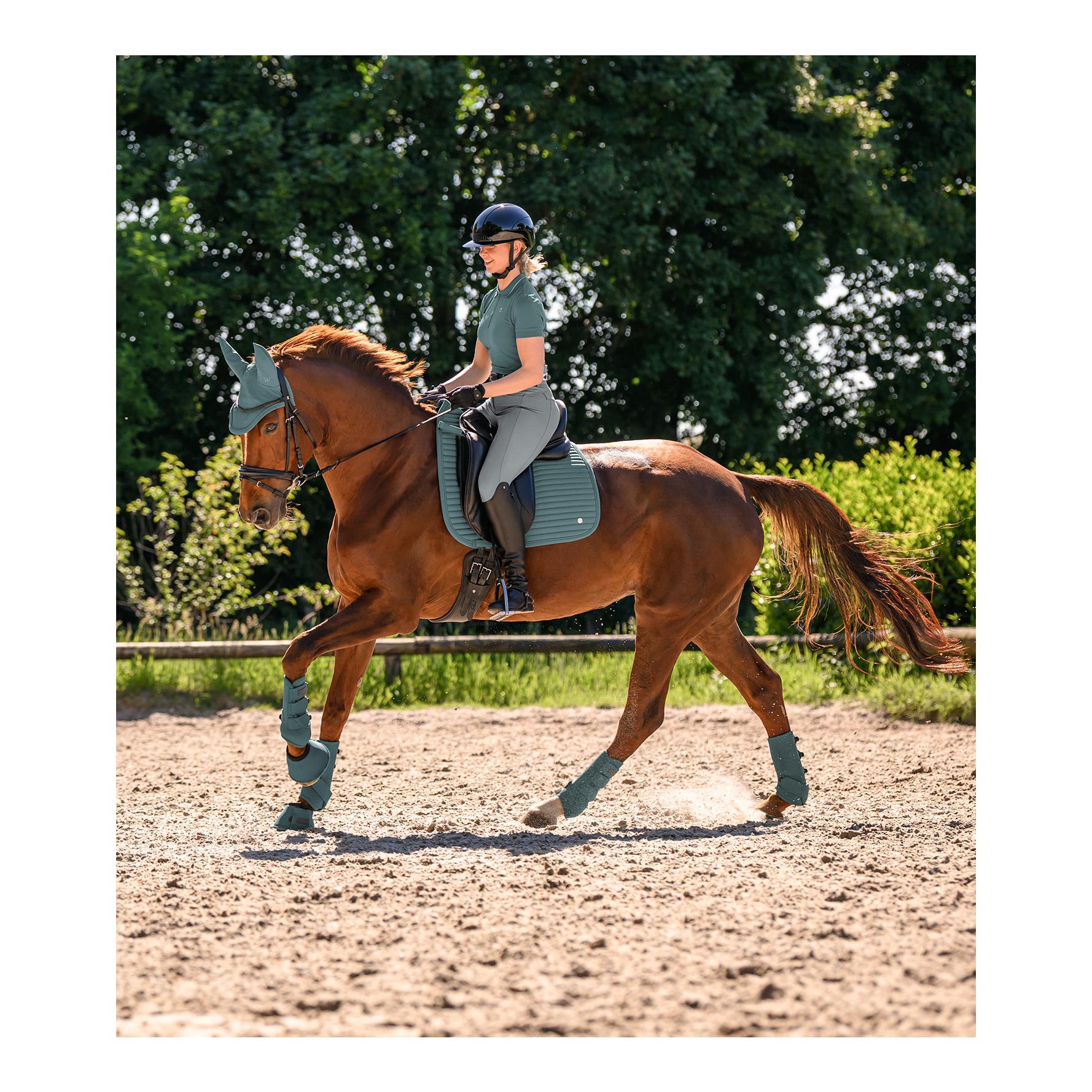 Elt Polo fonctionnel Prague