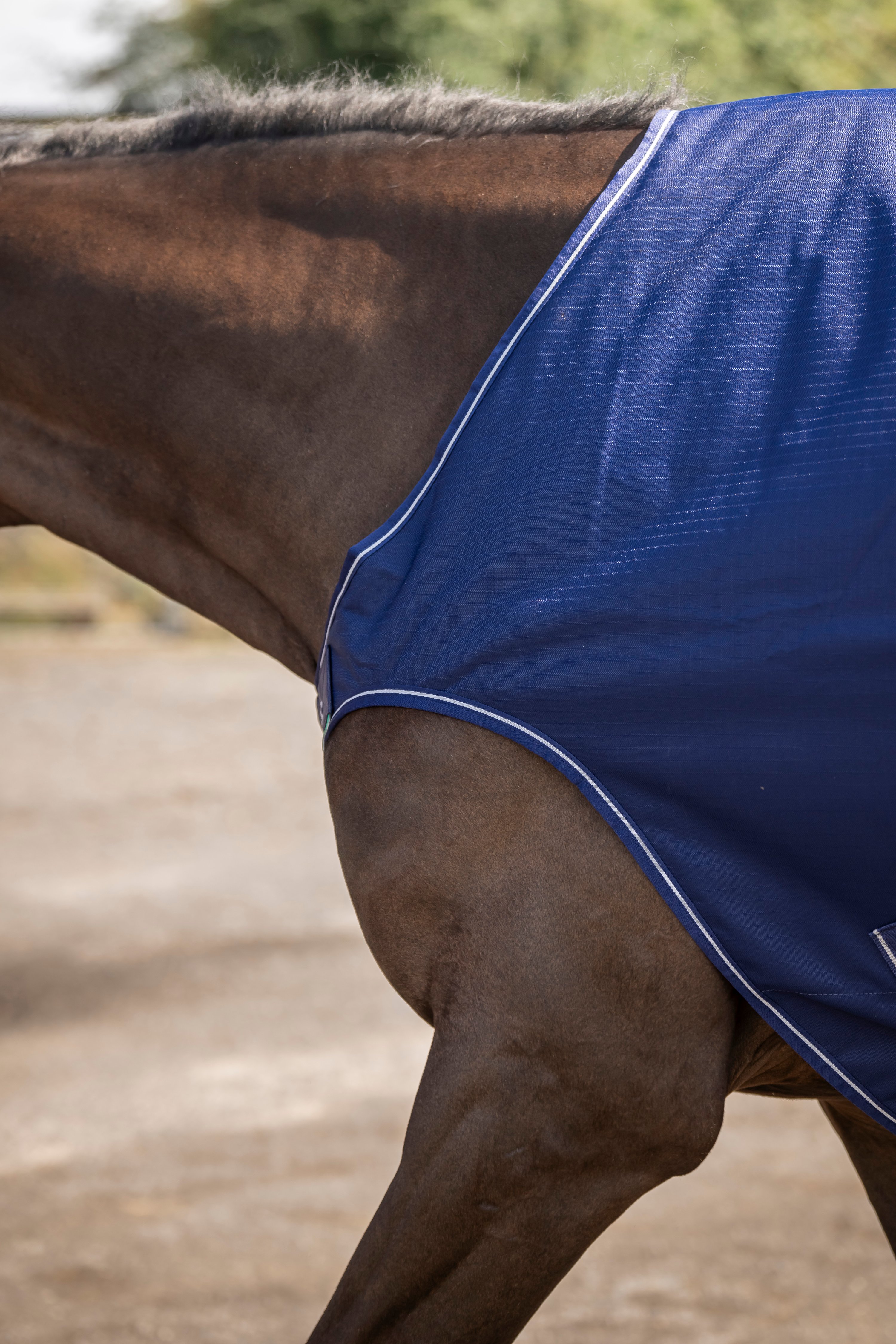 Bucas Chemise de marcheur cheval Irish Walker doublure silk feel – navy