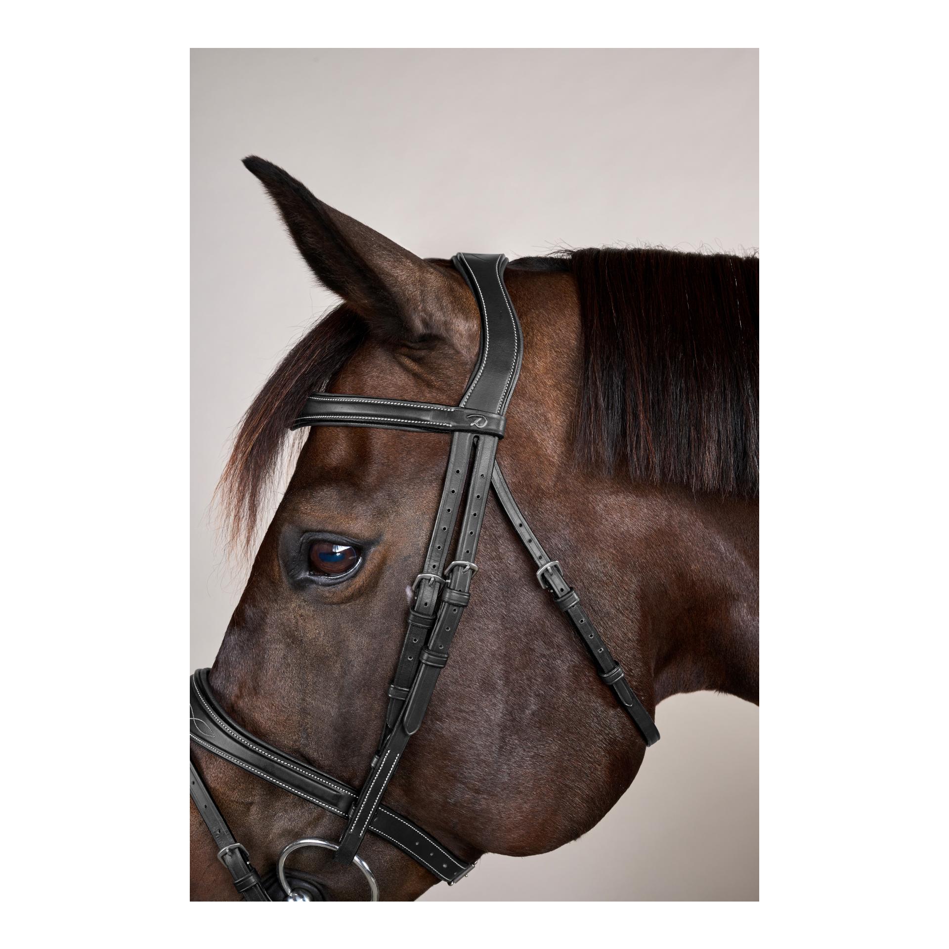 Dy'on Anatomische Trense mit kombiniertem Reithalfter US