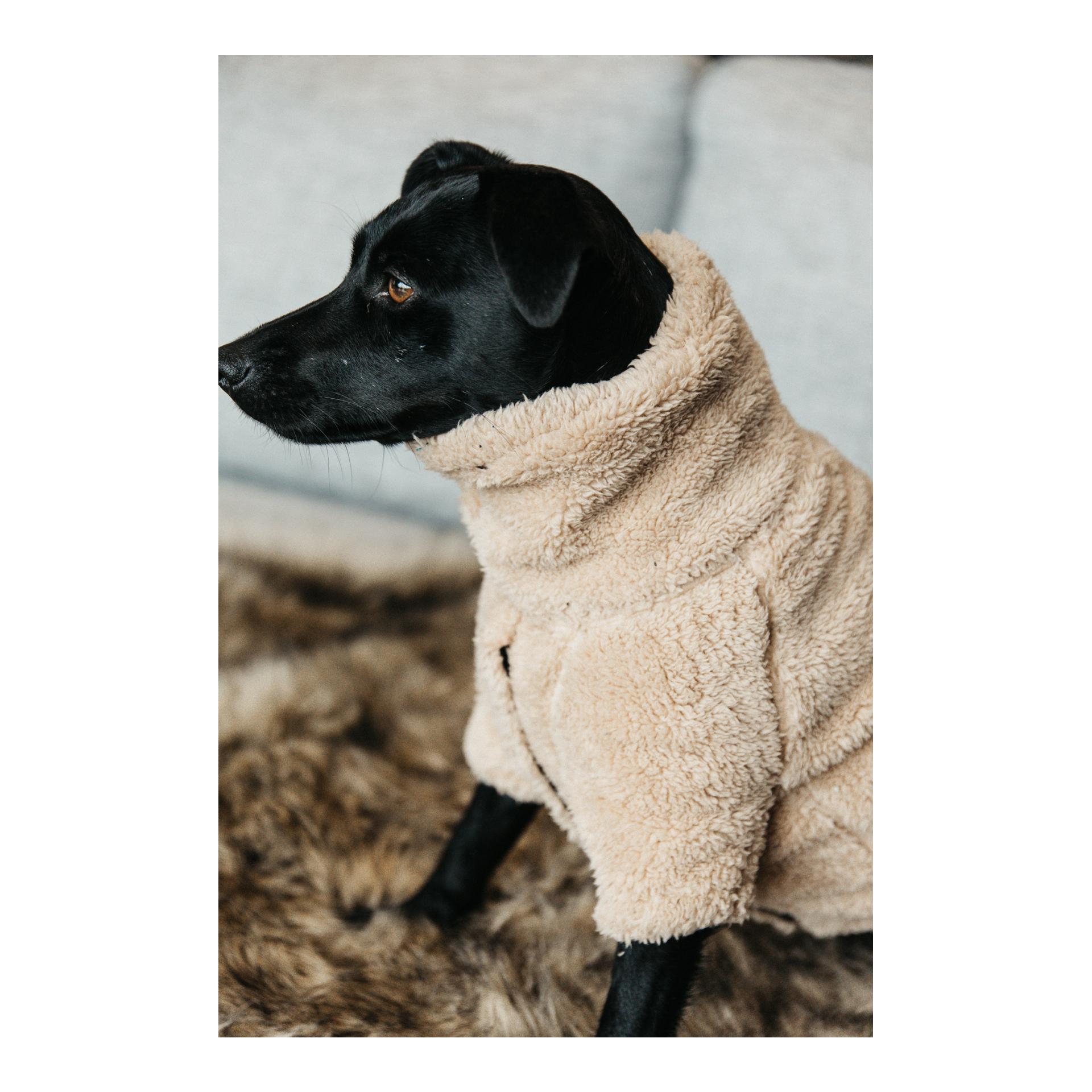 Hundepullover Teddy Fleece - beige Hundepullover Teddy Fleece - beige