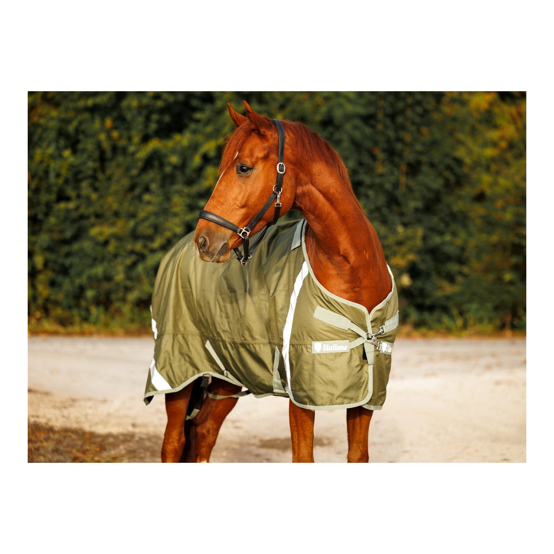 Decken-Set 100-300 g Weidedecke Outdoor Guard mit Unterdecke & Halsteil Decken-Set 100-300 g Weidedecke Outdoor Guard mit Unterdecke & Halsteil