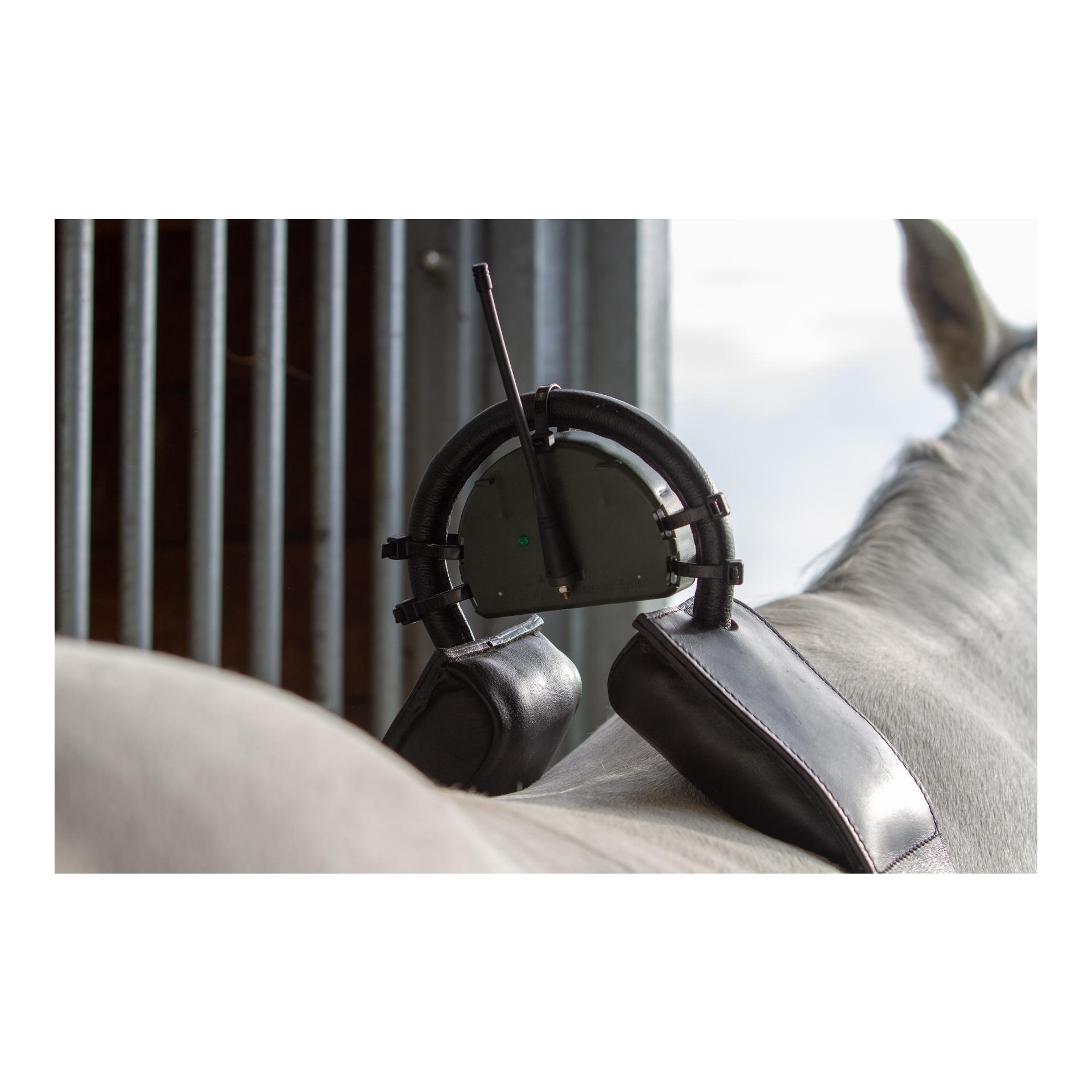 Birth Alarm Set - Birth Alarm Classic komplett