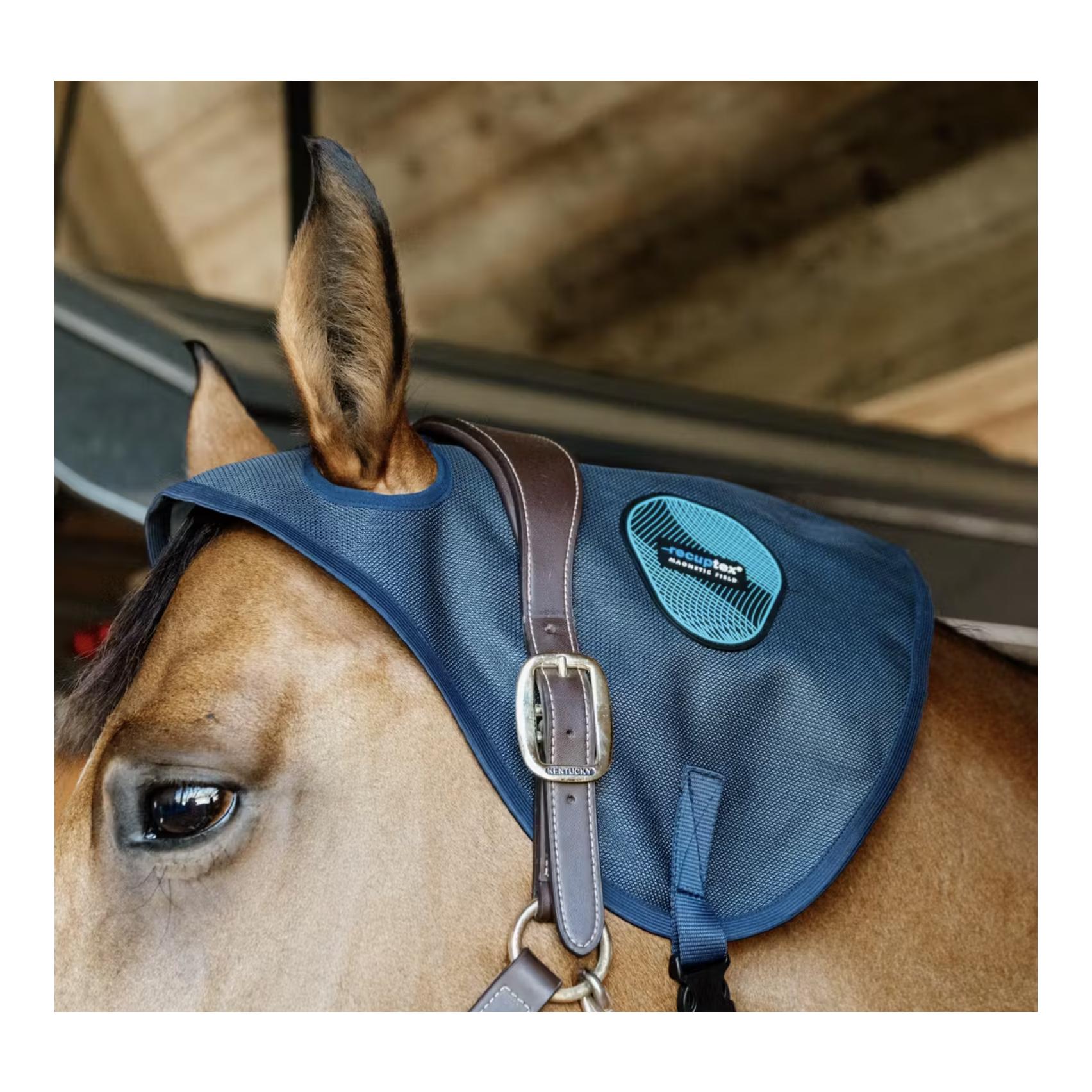 Kentucky Protège-nuque magnétique Recuptex