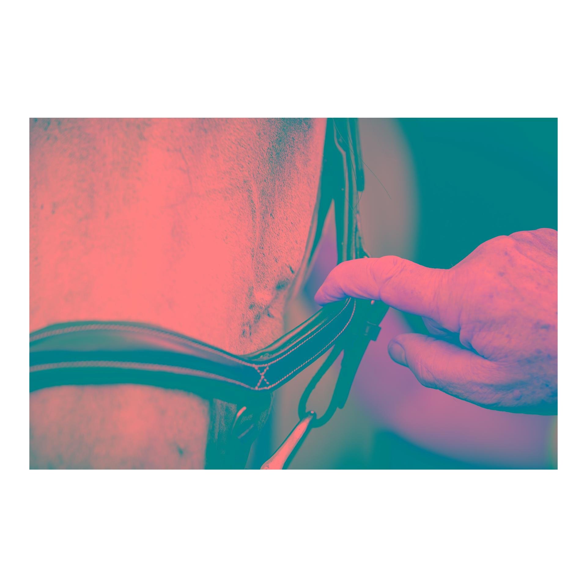 Horseware Bridon de compétition Micklem Deluxe