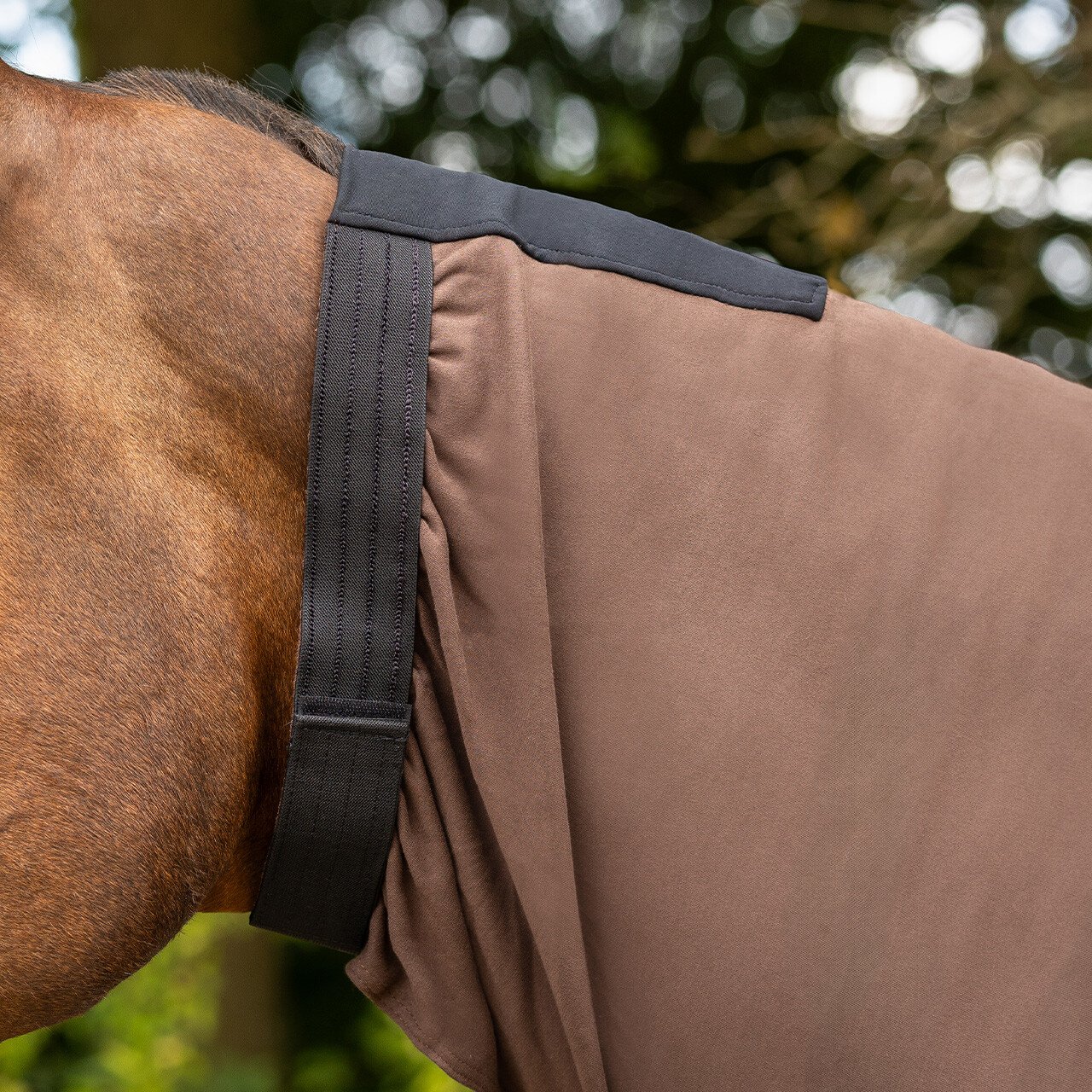 QHP Halsteil Ekzem - braun