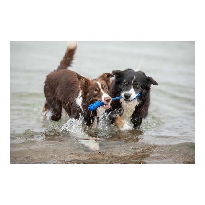 Jouet en corde spiely, uni - bleu