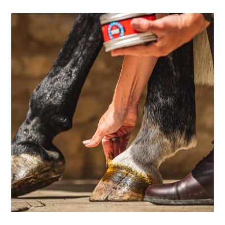 Cornucrescine Ointment Cornucrescine Ointment
