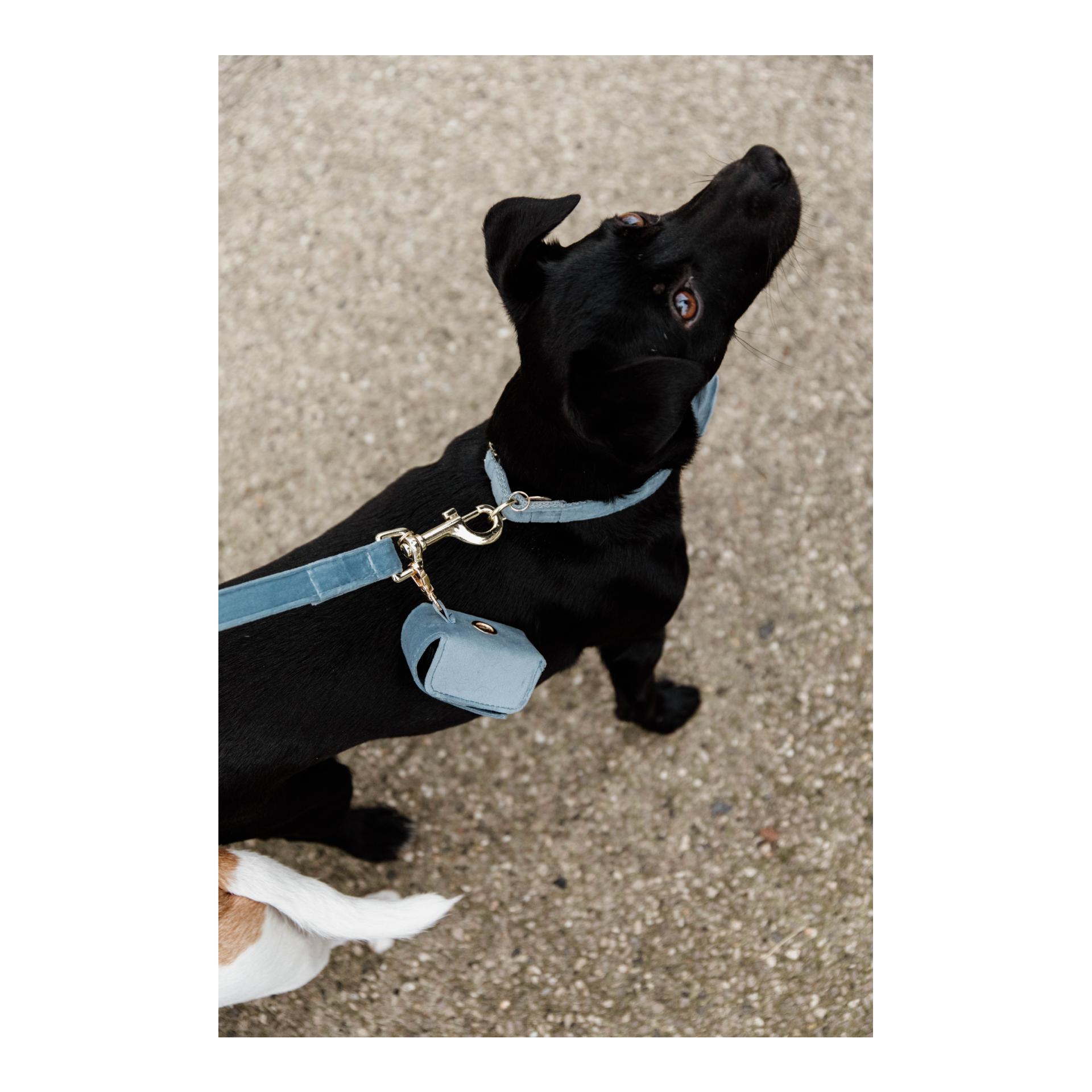 Distributeur de sacs à crottes Velvet Square 