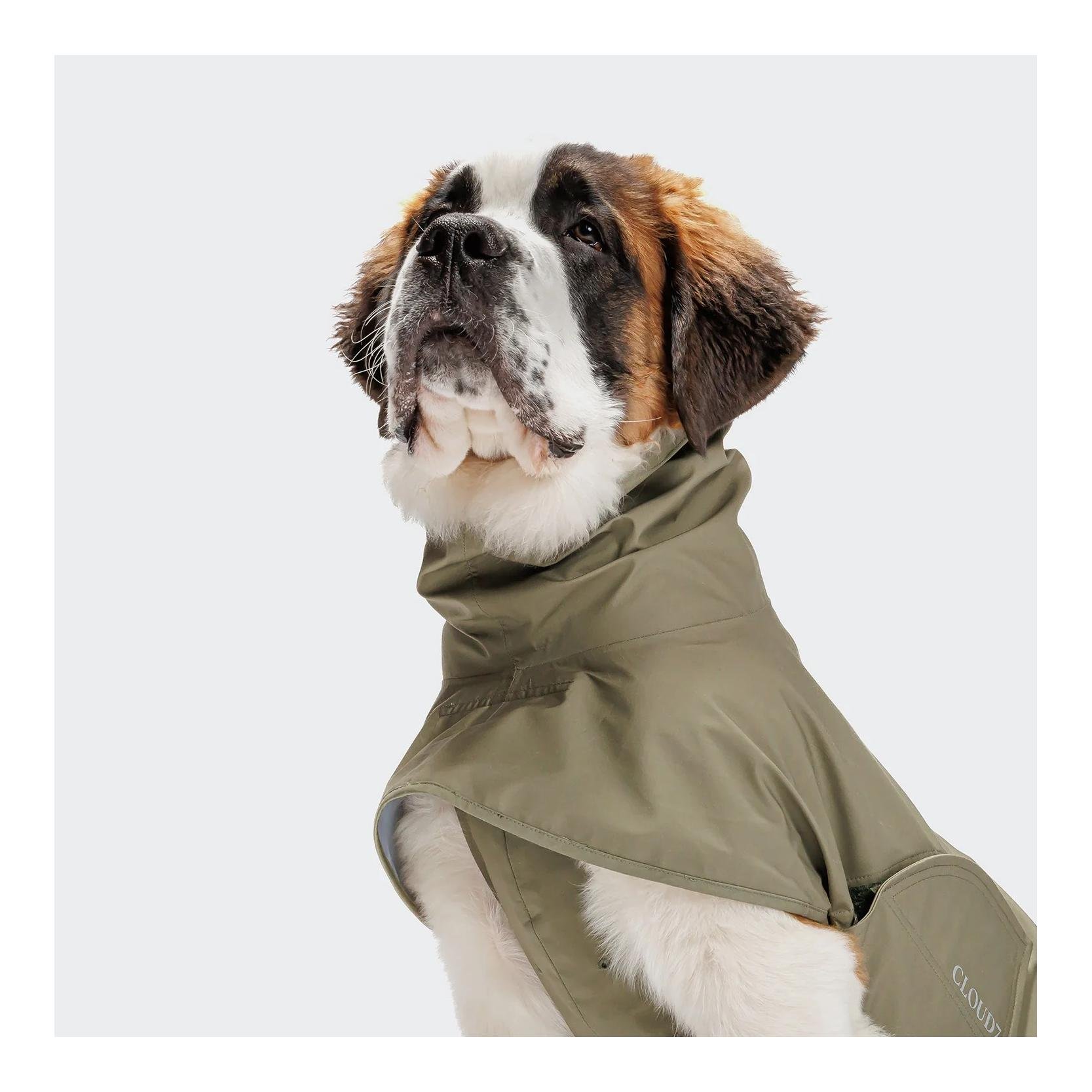 Imperméable pour chiens Helgoland 