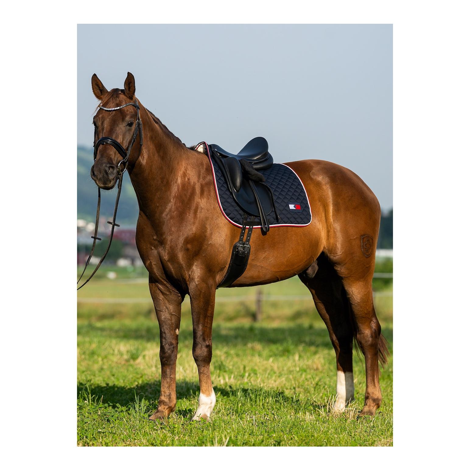 Tapis de selle TH Statement Cotton Four DESERT SKY