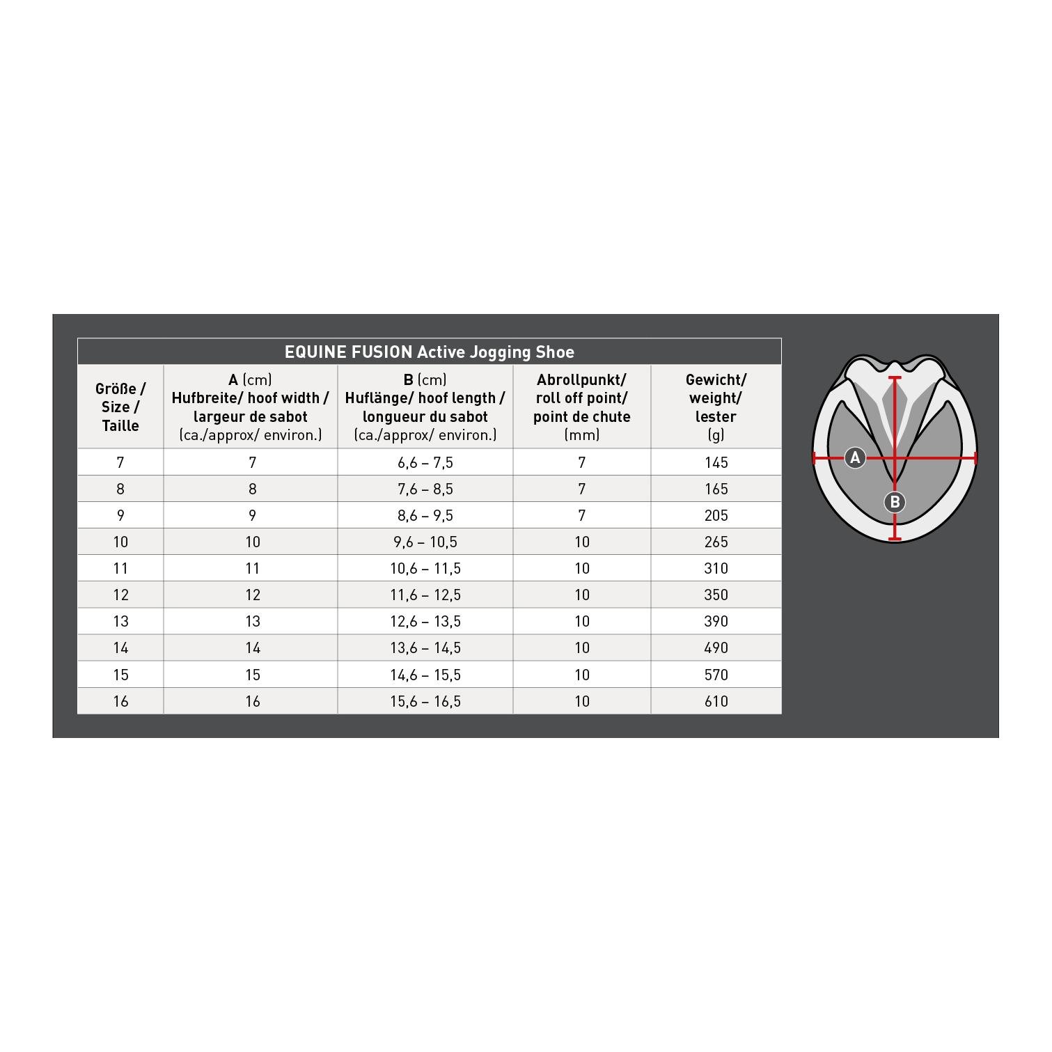 Equine Fusion Active Jogging Shoe Regular