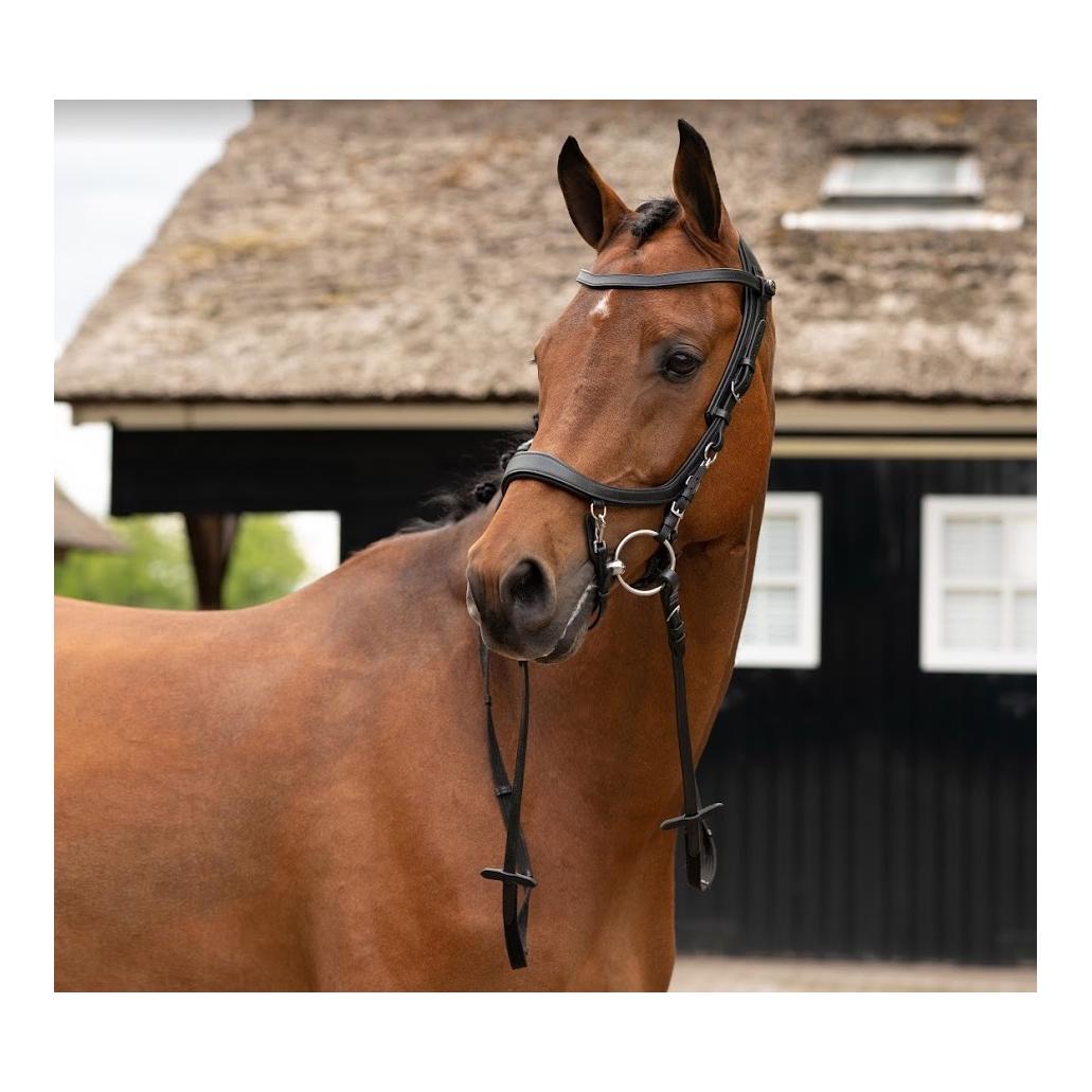 PresTeq Bride FaySport – noir