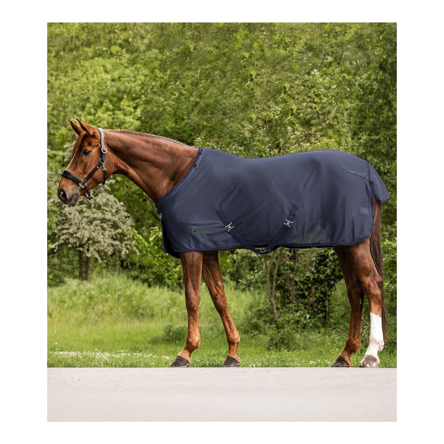 Fliegendecke Comfort mit Kreuzgurten