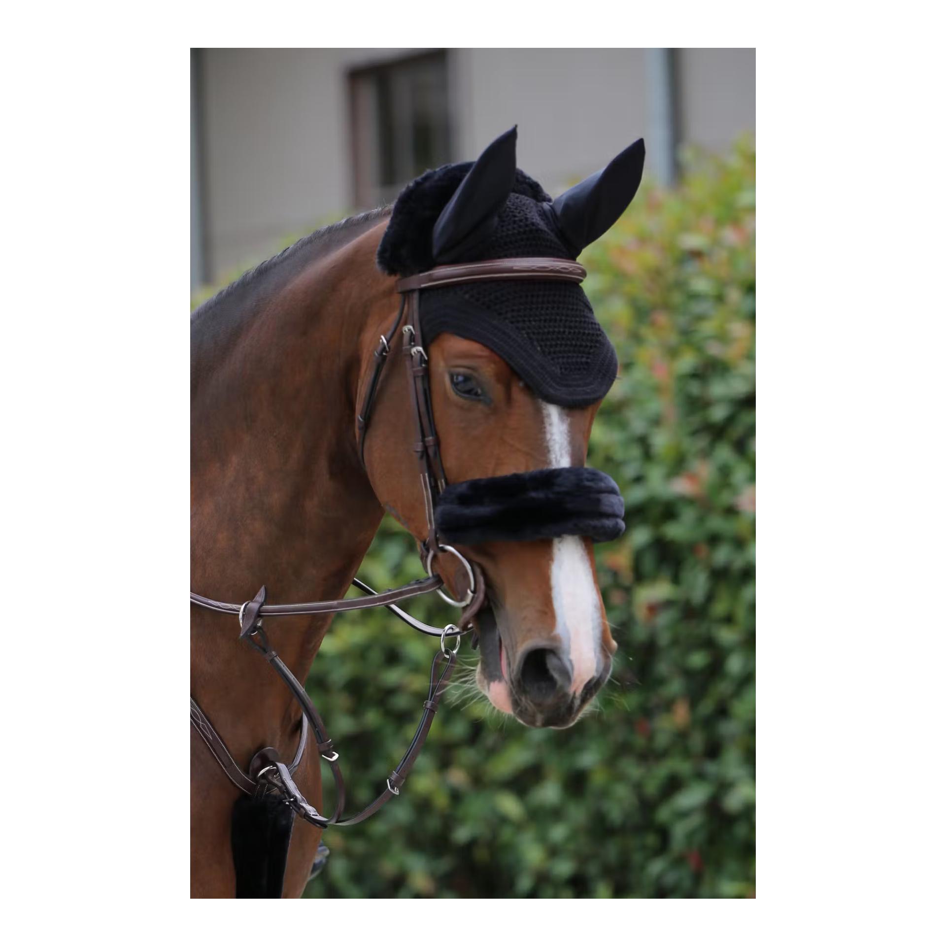 Kentucky Fliegenhaube Wellington Large