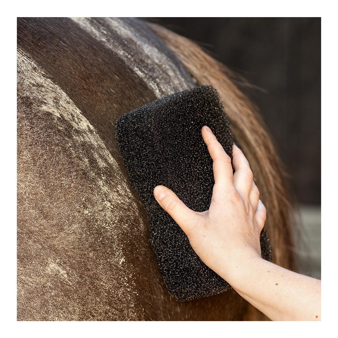 QHP Equi Super Shiner - Éponge pour cheval – nettoyage du pelage