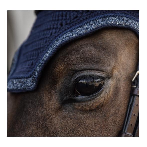 Ohrengarn Wellington Glitter Stone Soundless - dunkelblau