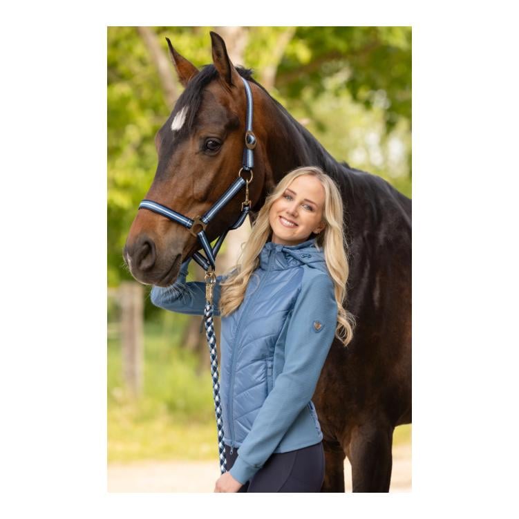 Covalliero Halfter Hippo F/S 2026