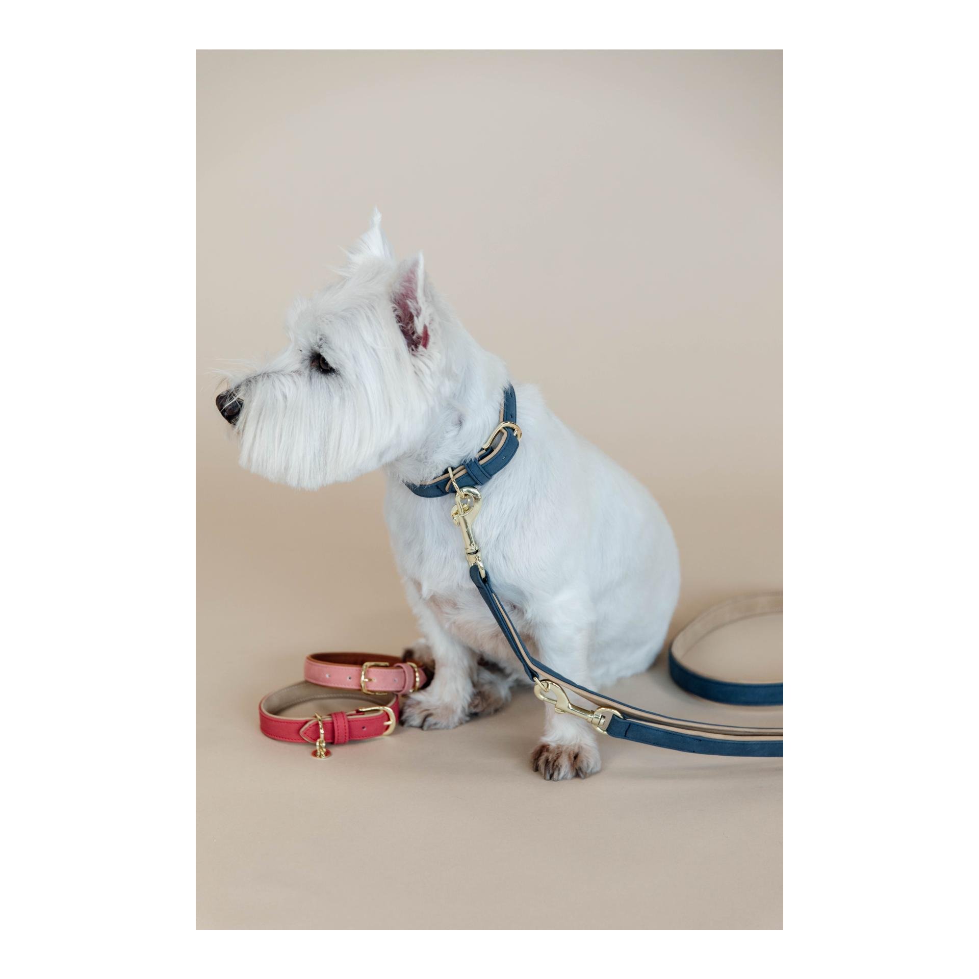 Hundehalsband Soft Vegan Leather Hundehalsband Soft Vegan Leather