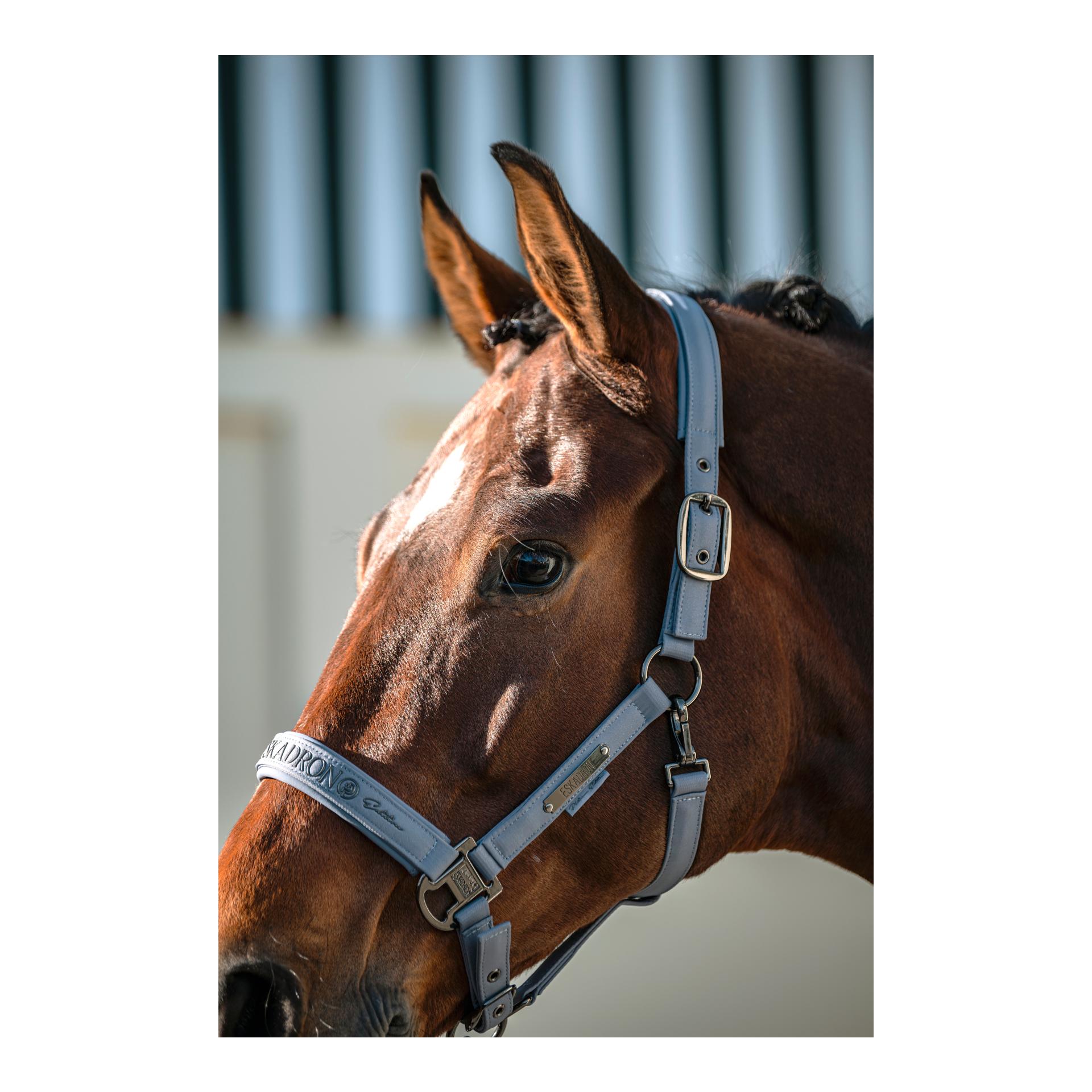 Eskadron Halfter SPARKLE DOUBLE PIN Platinum 26 S/S