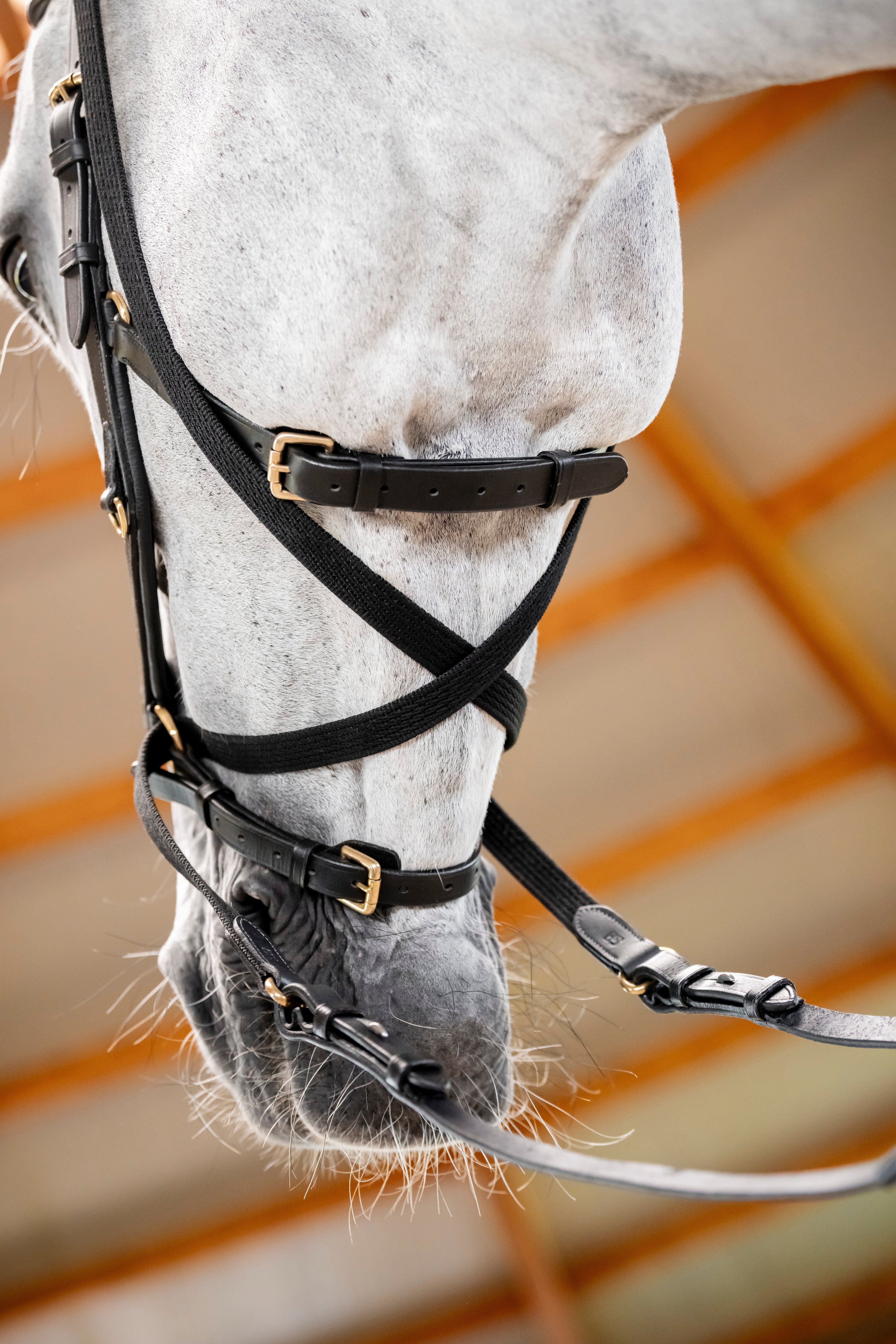 Horseware Bridon Micklem Multi