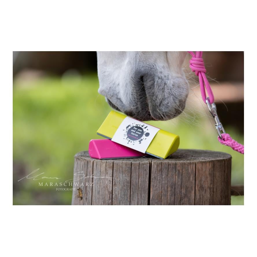 Fellschön Fellwechselhelfer