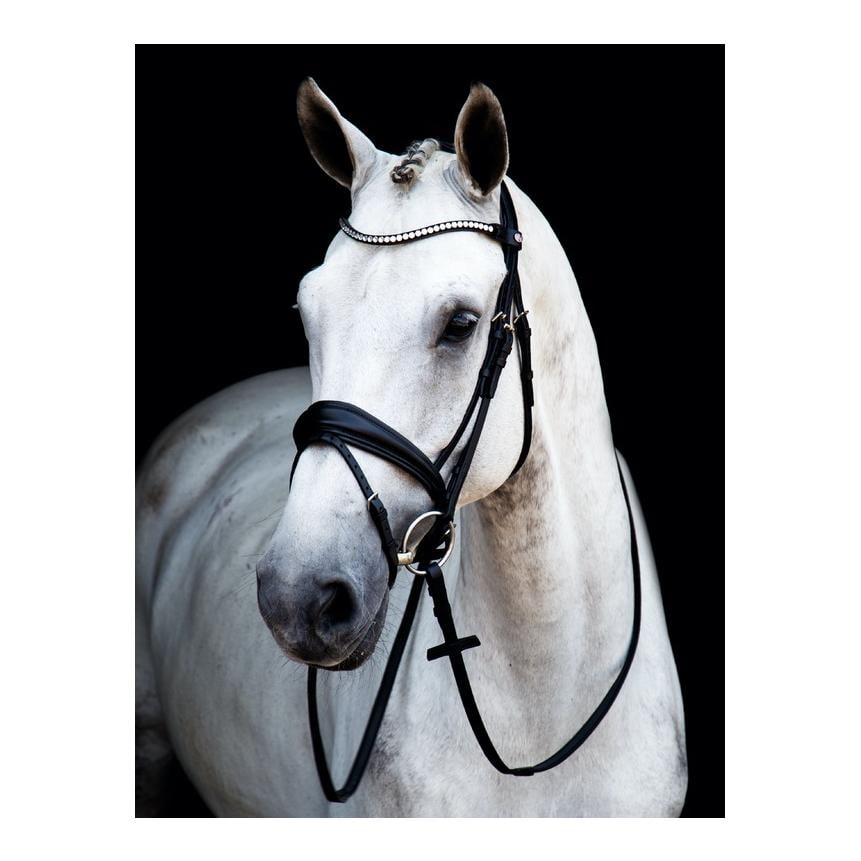 Zaum Switch Magic Tack - schwarz lack Zaum Switch Magic Tack - schwarz lack