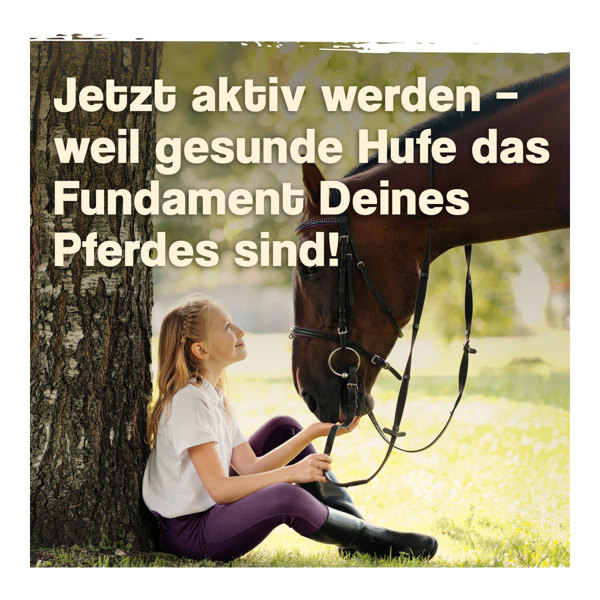 IdaPlus Biotin + Zink für Pferde - hochdosiert - verbessert Hufqualität & Hufwachstum 