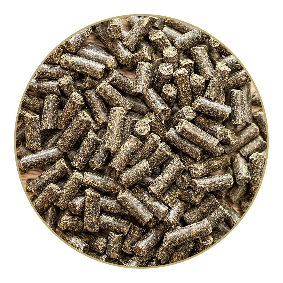 St. Hippolyt Ungulat Hufkur