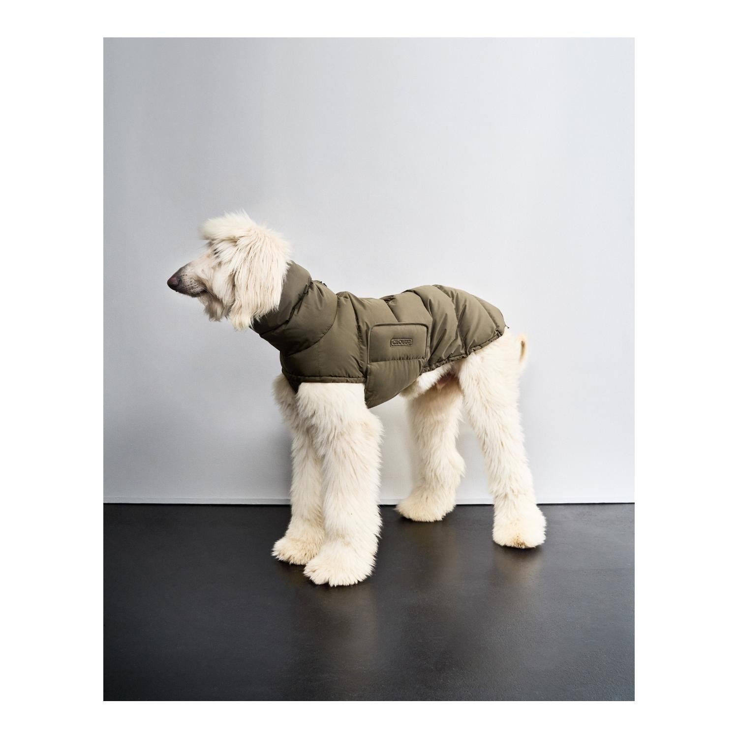 Winter Hundemantel Alaska Regular